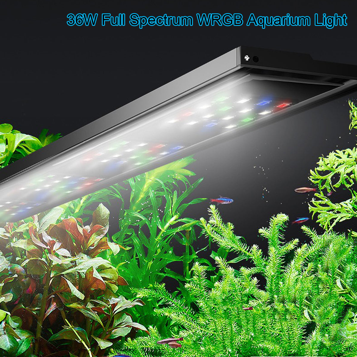AC.I AQUABLADE WRGB Plant Light Full Spectrum
