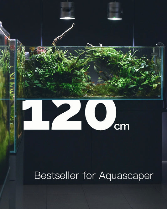 DC-120 Premium Rimless Aquarium with Mitred Edge