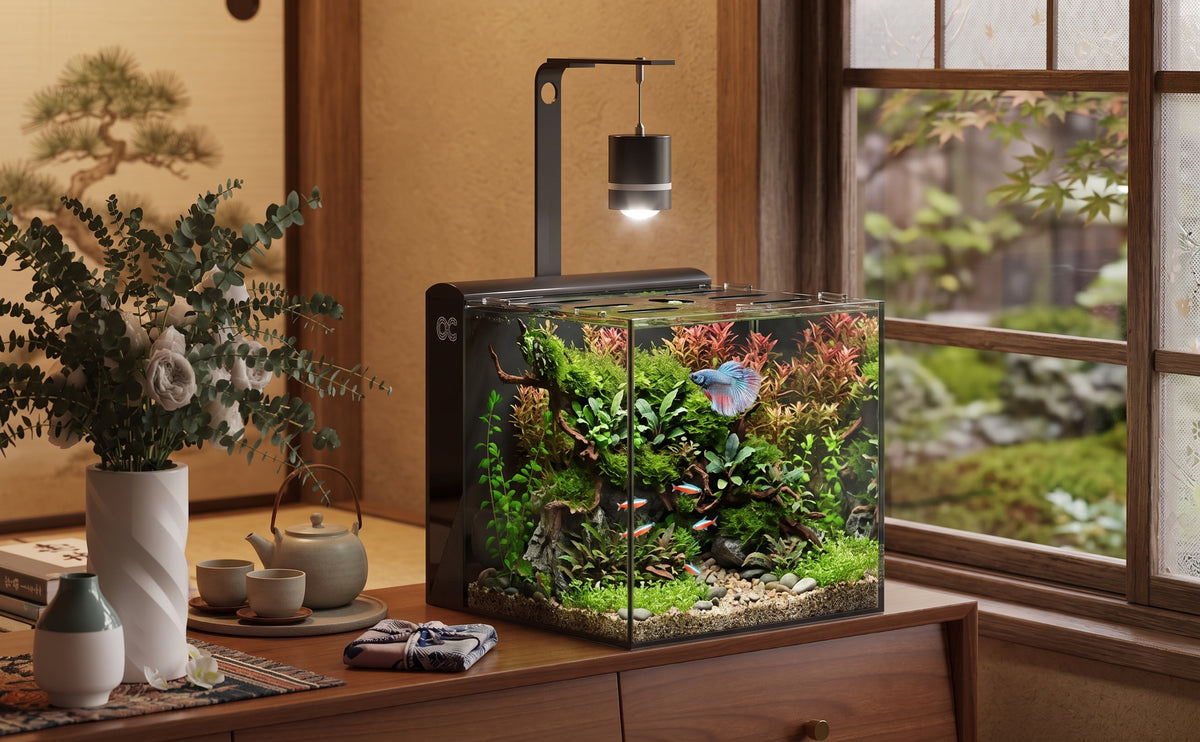 KYOTO-40 Complete set of Aquarium with Rear Filtration System