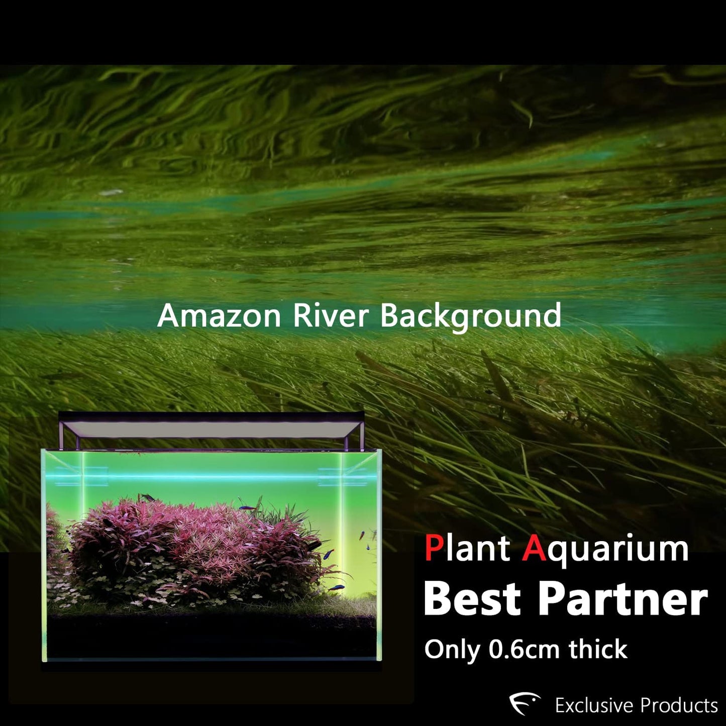 Led background lightscreen app controllable