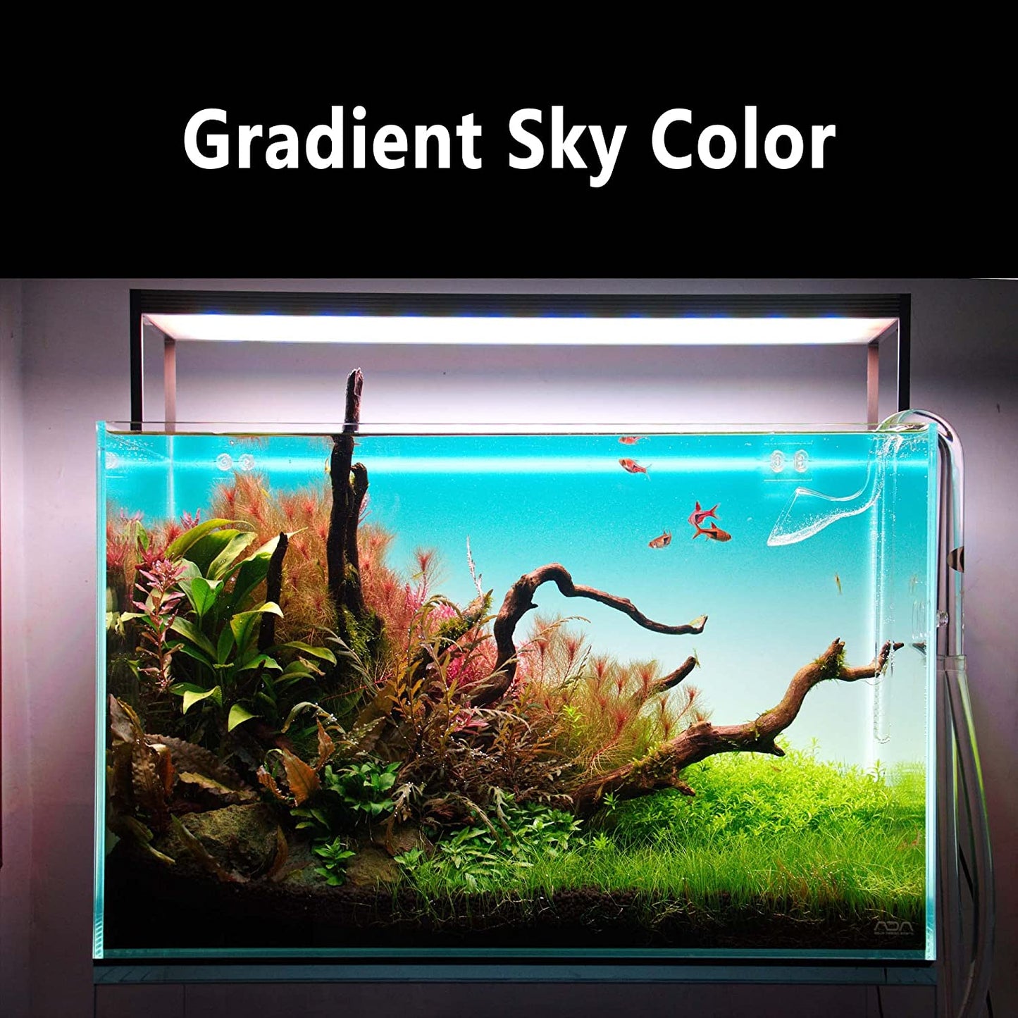 Led background lightscreen app controllable