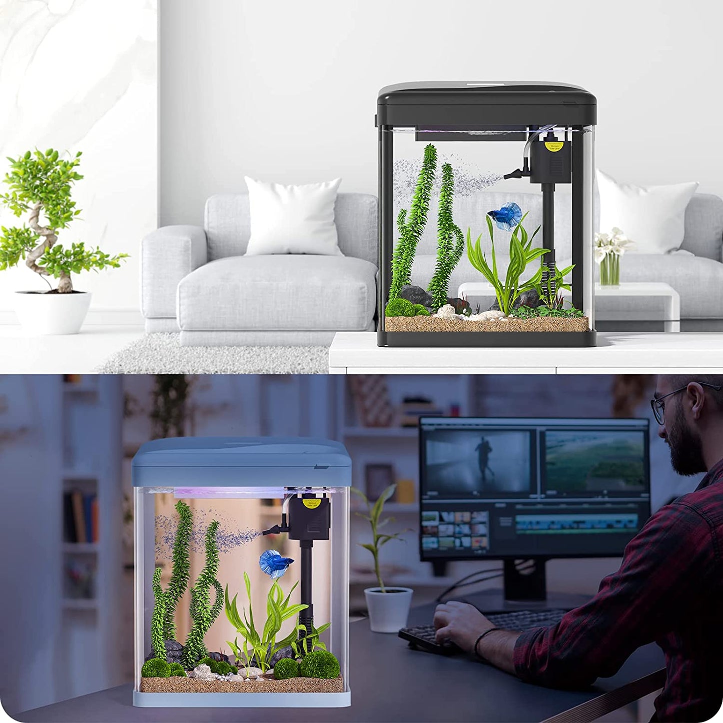 OTARU-520W 55L ALL-IN-1 Aquarium XS520