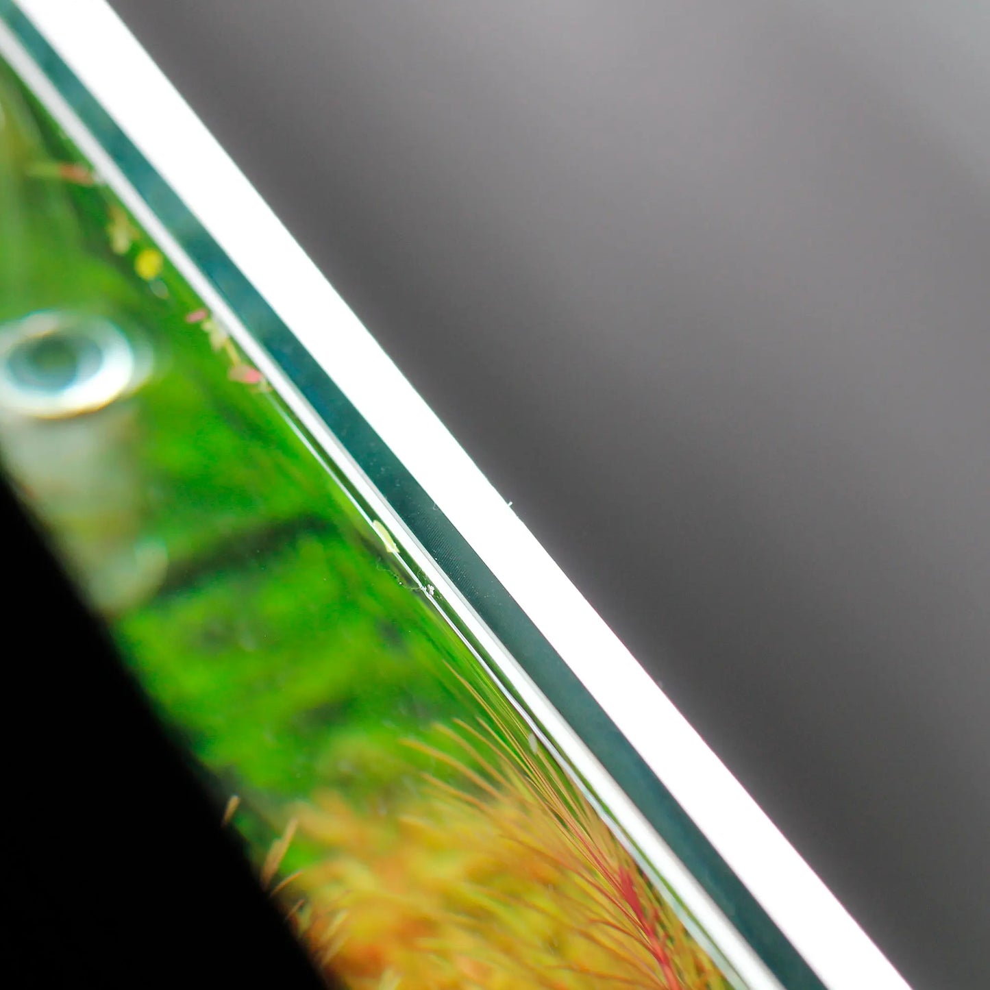 Led background lightscreen app controllable