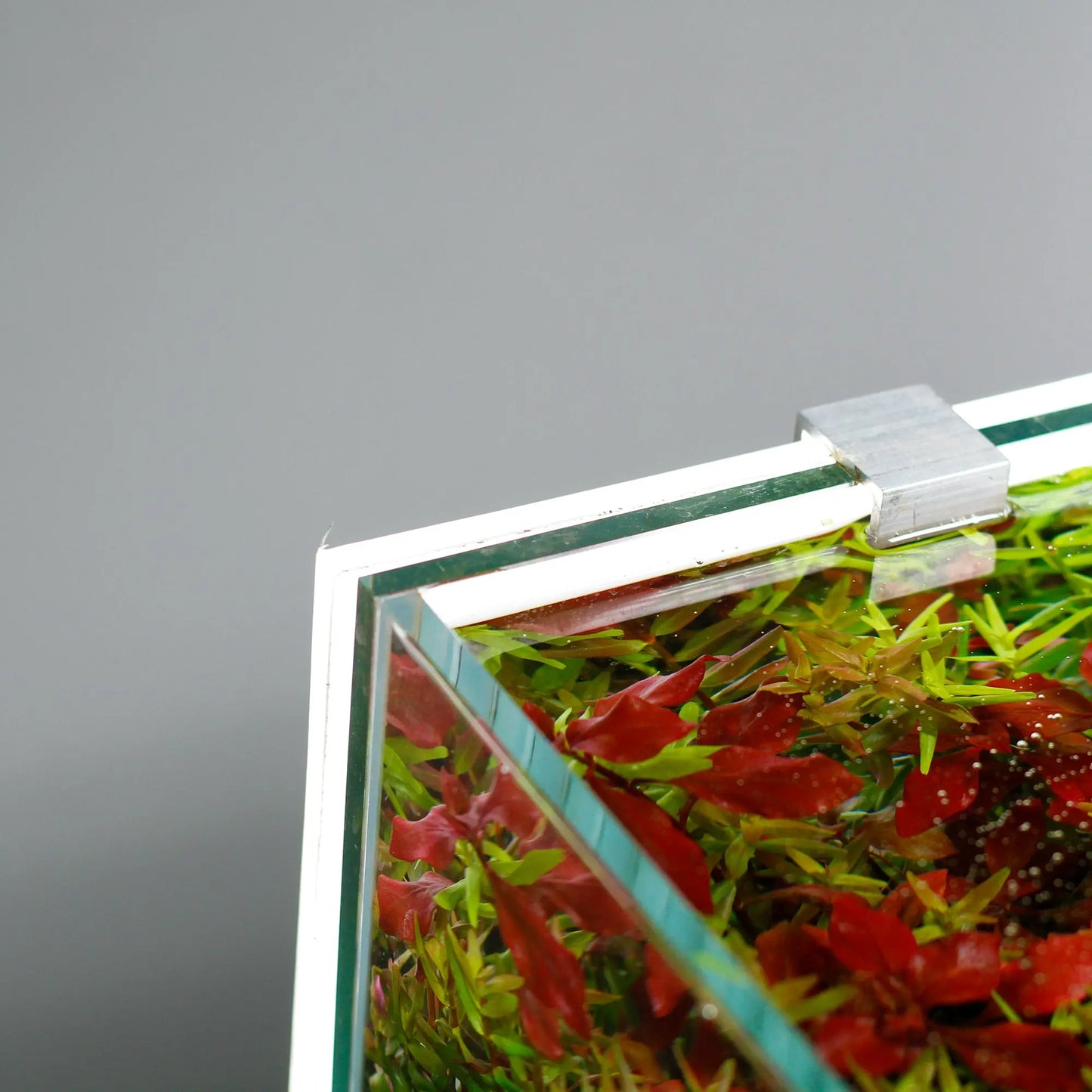 Led background lightscreen app controllable